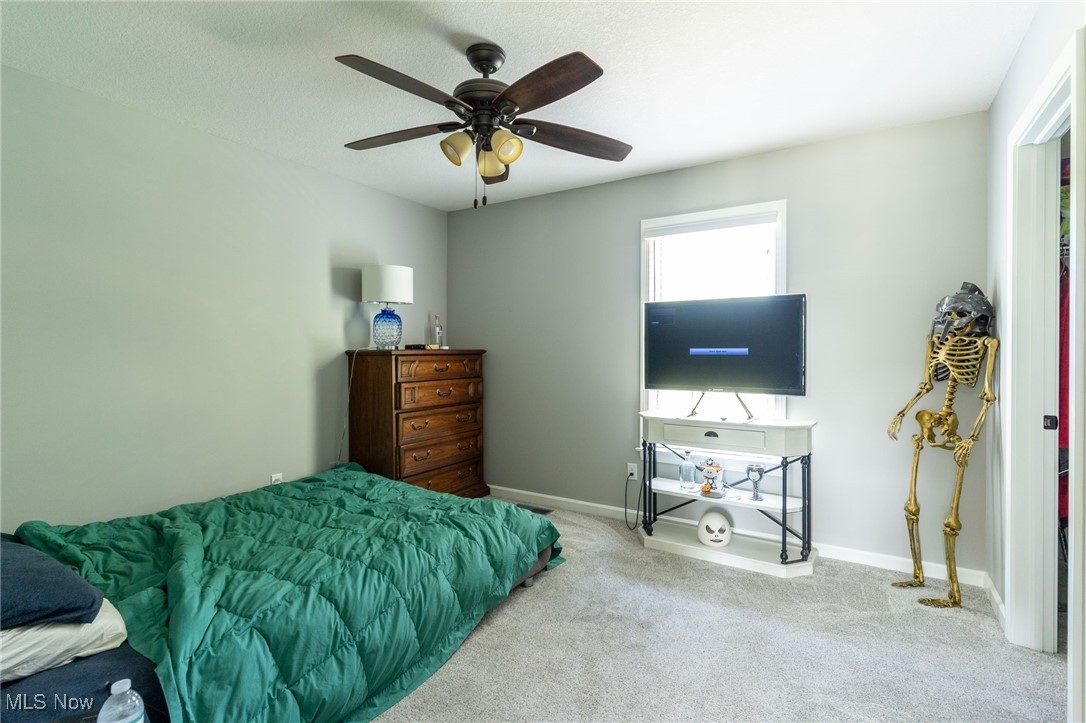 6605 Covington Cove Canfield OH 44406