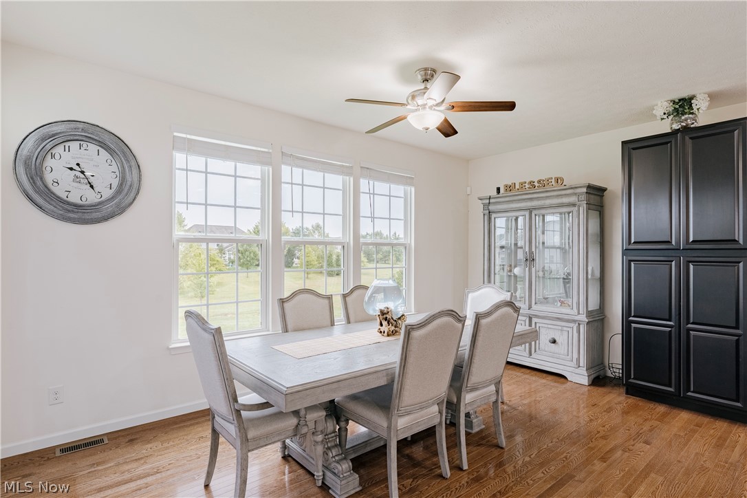 7944 Megan Meadow Drive Hudson OH 44236