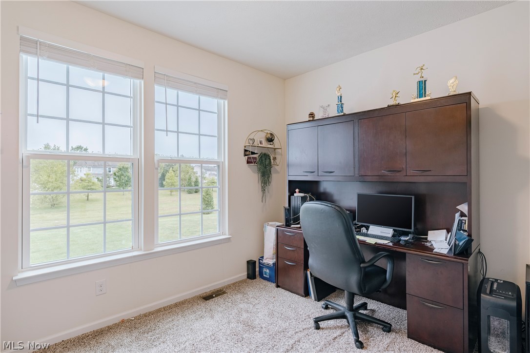 7944 Megan Meadow Drive Hudson OH 44236