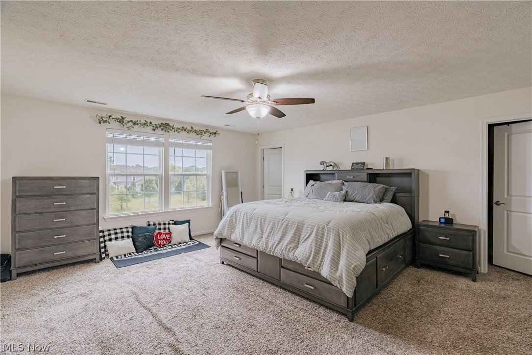 7944 Megan Meadow Drive Hudson OH 44236