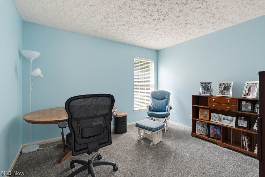 4588 Lexington Ridge Drive Medina OH 44256