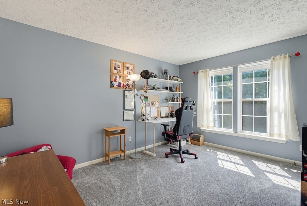 4588 Lexington Ridge Drive Medina OH 44256