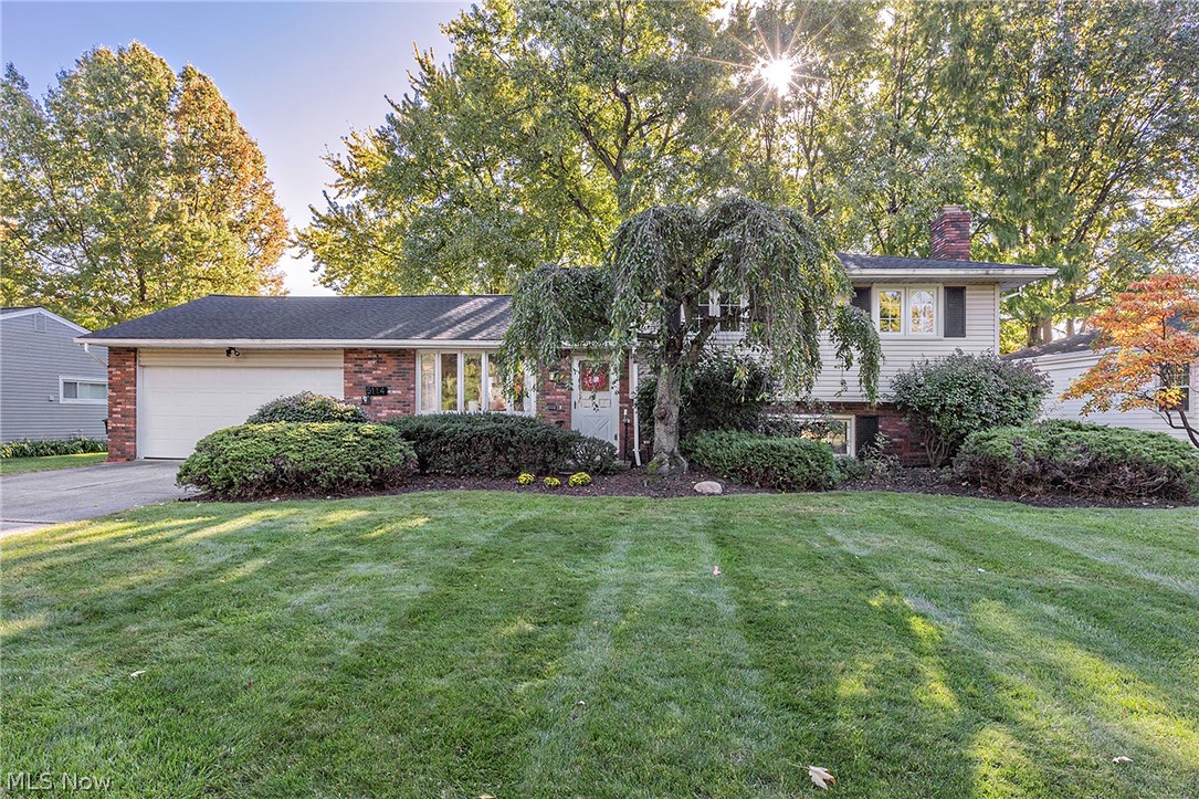 5114 Dogwood Trail Lyndhurst OH 44124