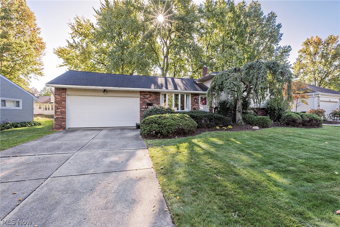 5114 Dogwood Trail Lyndhurst OH 44124