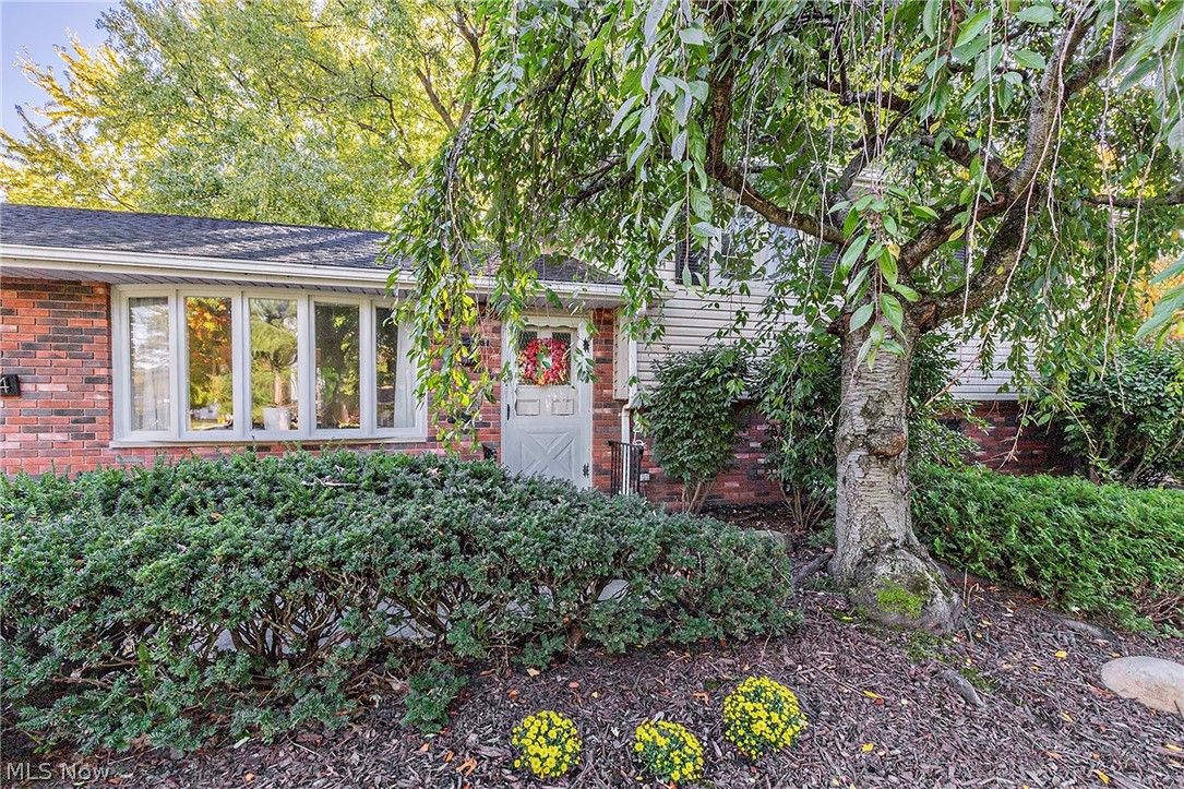 5114 Dogwood Trail Lyndhurst OH 44124