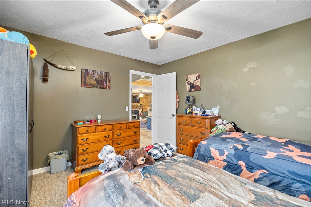 37581 Capel Road Grafton OH 44044