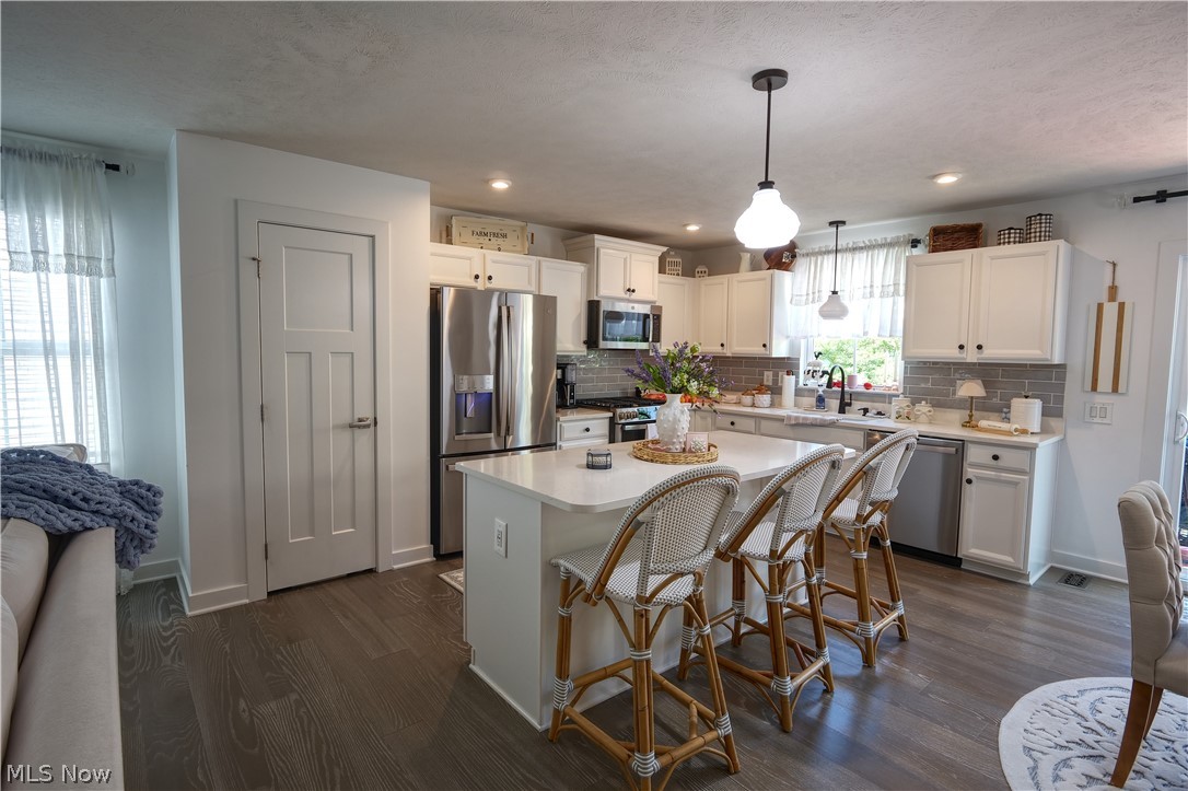 4161 Hidden Village Drive Perry OH 44081