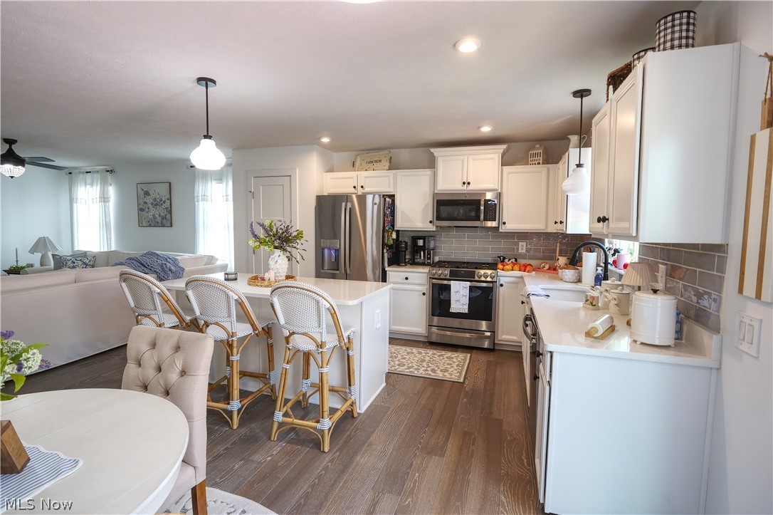 4161 Hidden Village Drive Perry OH 44081