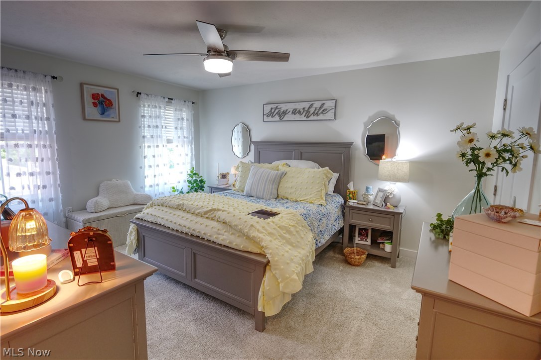4161 Hidden Village Drive Perry OH 44081