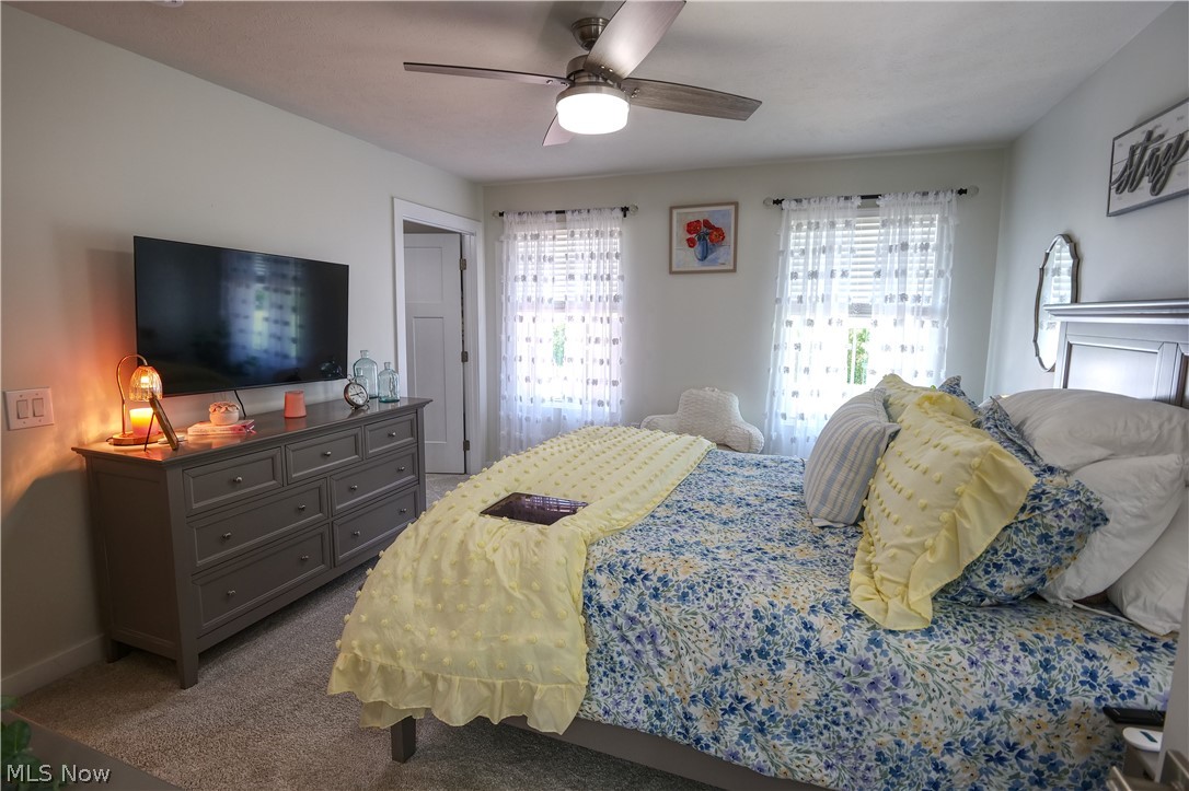 4161 Hidden Village Drive Perry OH 44081