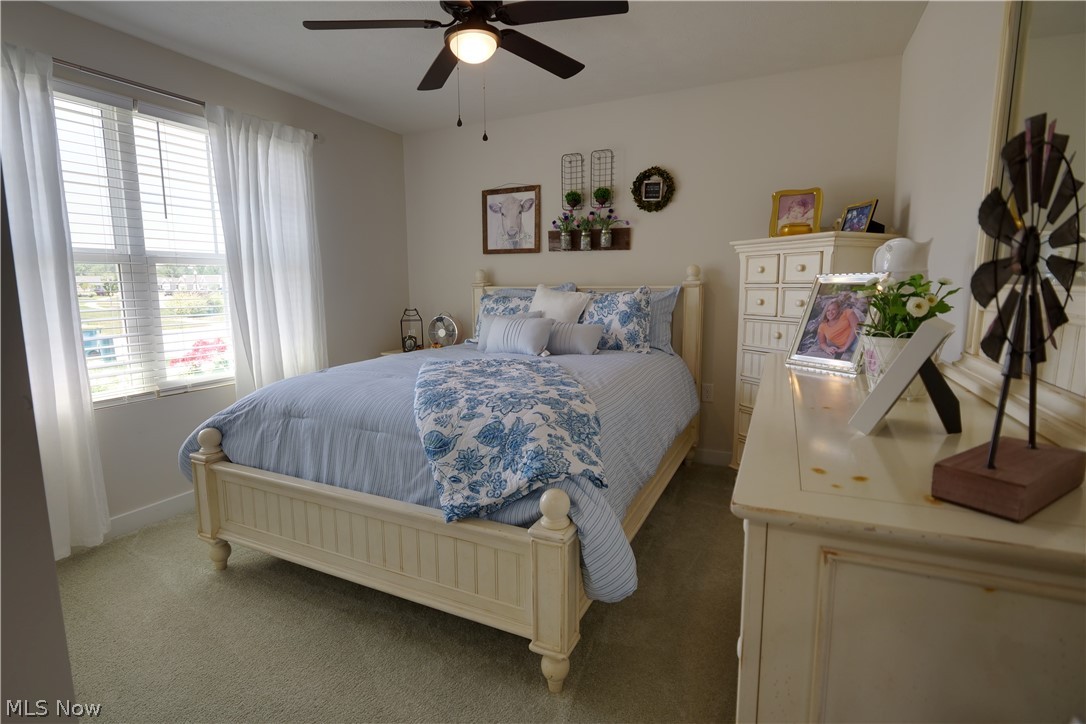 4161 Hidden Village Drive Perry OH 44081
