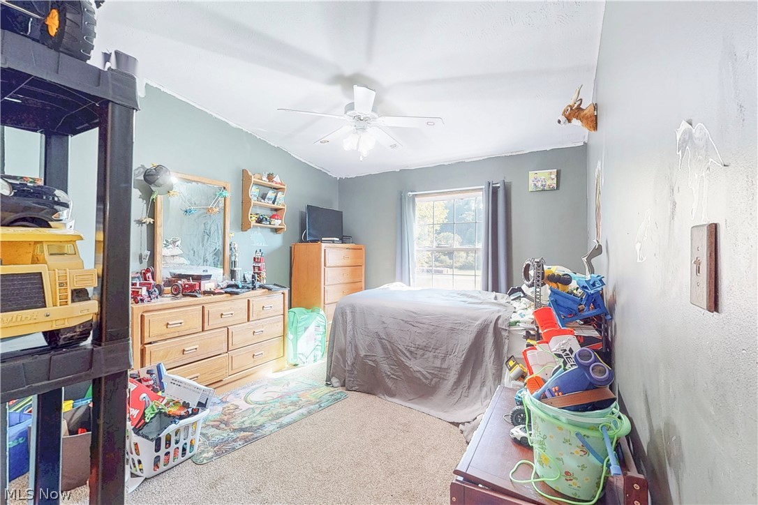 91800 Irish Creek Road Jewett OH 43986