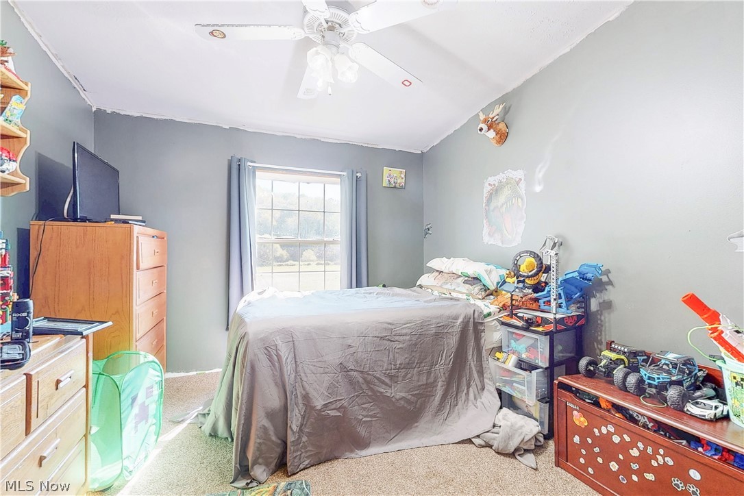 91800 Irish Creek Road Jewett OH 43986