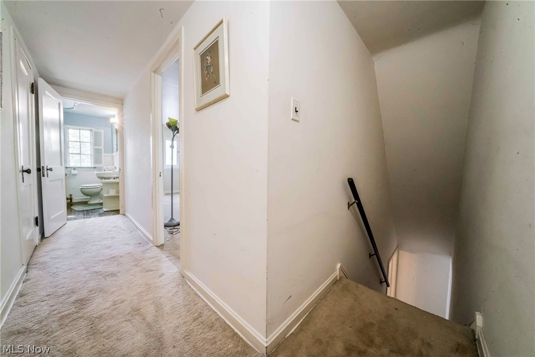 2677 Belvoir Boulevard Shaker Heights OH 44122