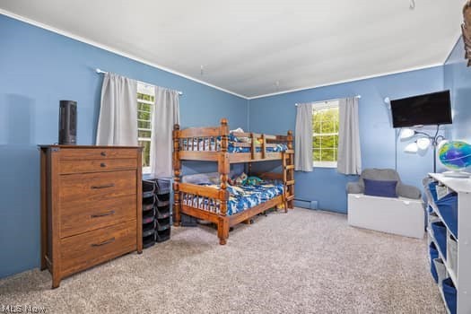 6258 Kennard Road N Medina OH 44256