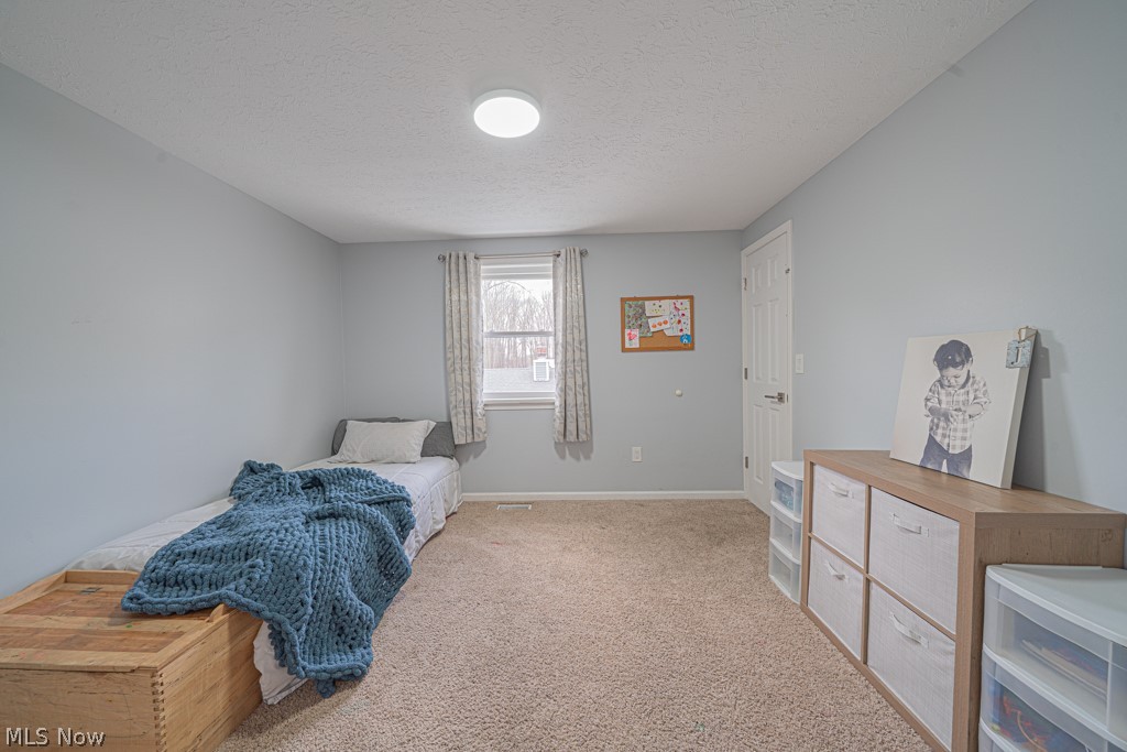 10396 Dewhurst Road Elyria OH 44035
