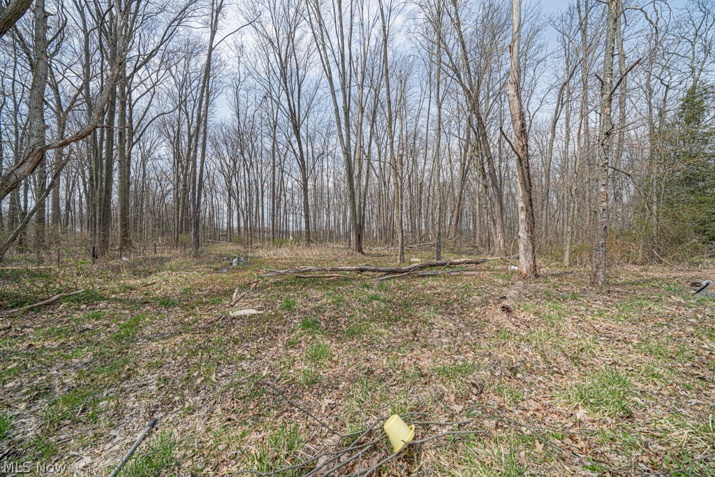 10396 Dewhurst Road Elyria OH 44035