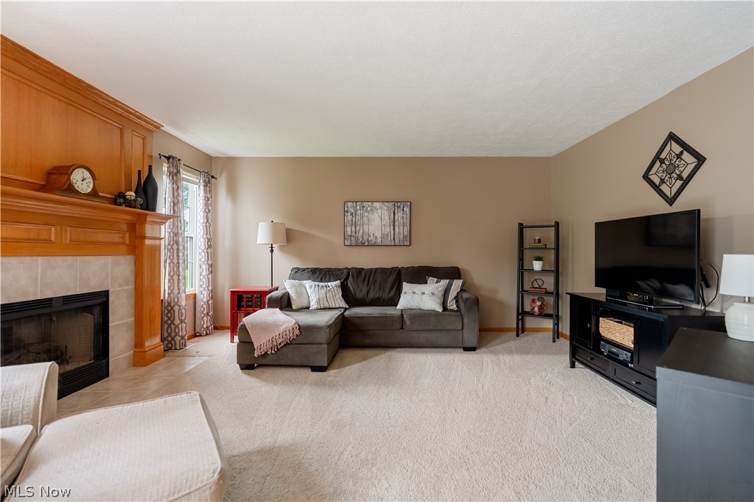 419 Treeview Drive Wadsworth OH 44281