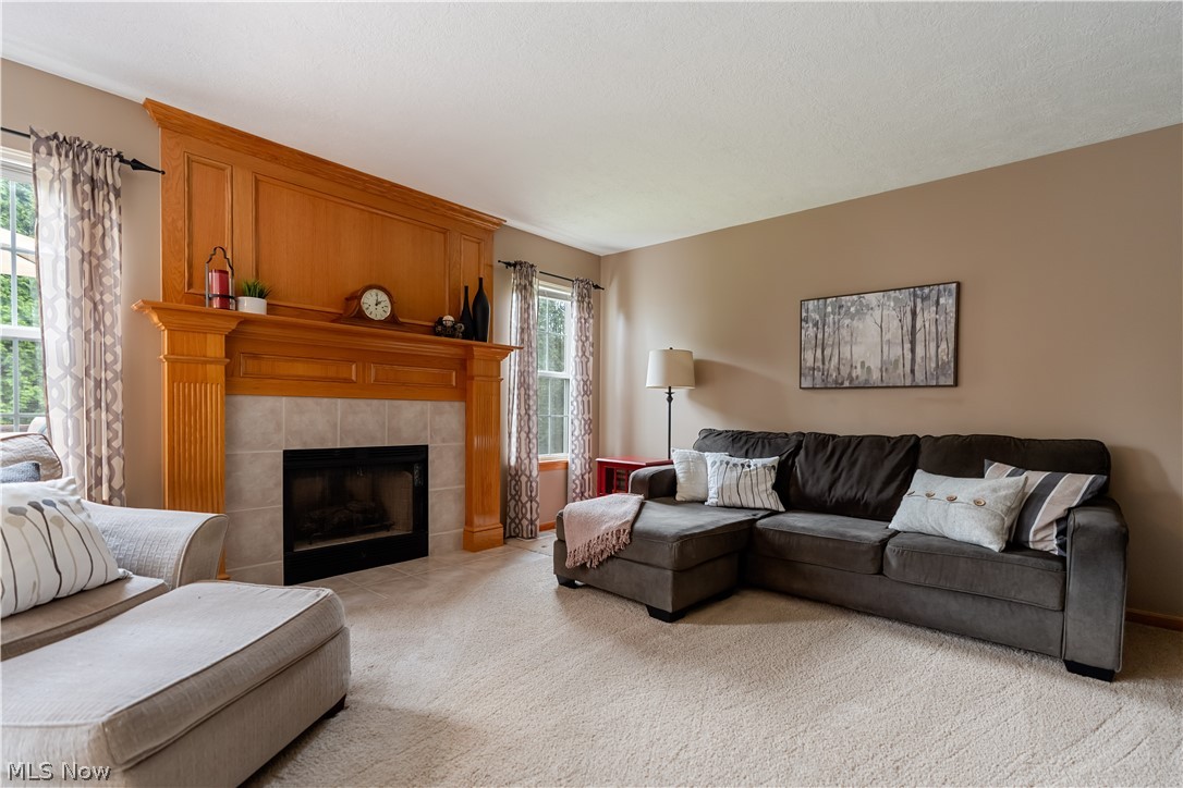 419 Treeview Drive Wadsworth OH 44281