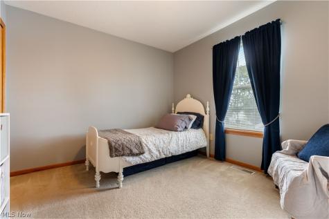 419 Treeview Drive Wadsworth OH 44281