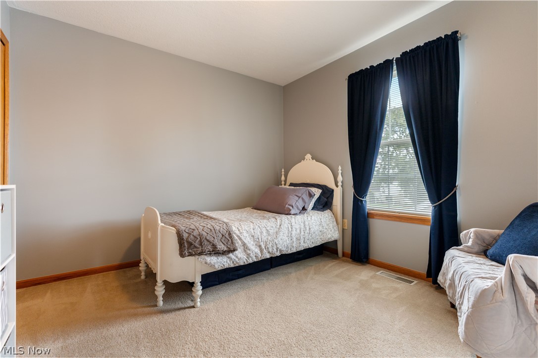 419 Treeview Drive Wadsworth OH 44281
