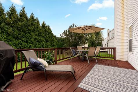 419 Treeview Drive Wadsworth OH 44281