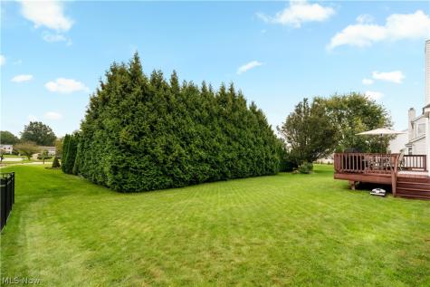 419 Treeview Drive Wadsworth OH 44281
