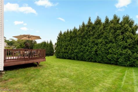 419 Treeview Drive Wadsworth OH 44281