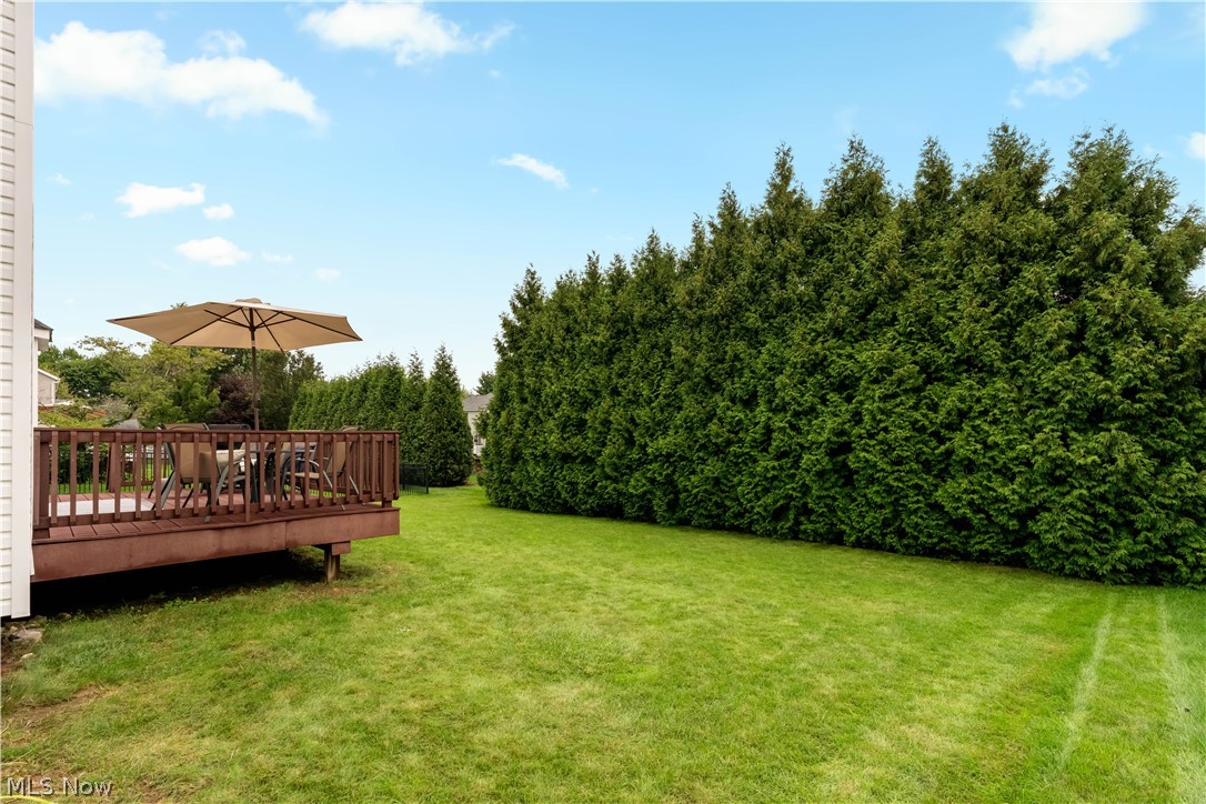 419 Treeview Drive Wadsworth OH 44281