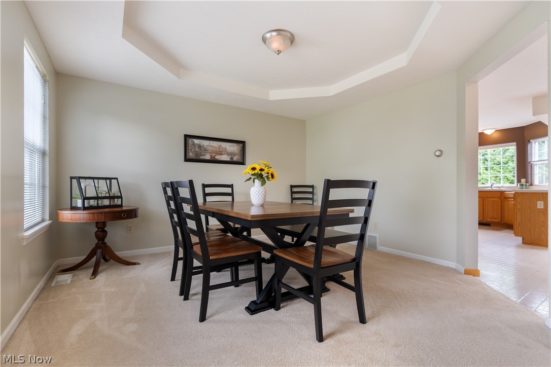 419 Treeview Drive Wadsworth OH 44281