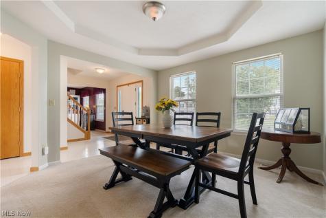 419 Treeview Drive Wadsworth OH 44281