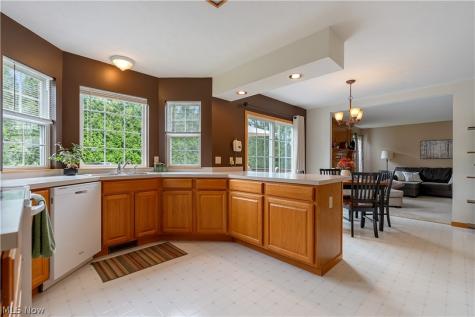 419 Treeview Drive Wadsworth OH 44281