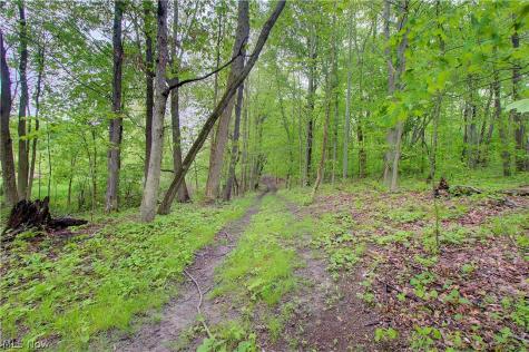 3637 Old Forge Road Rootstown OH 44272