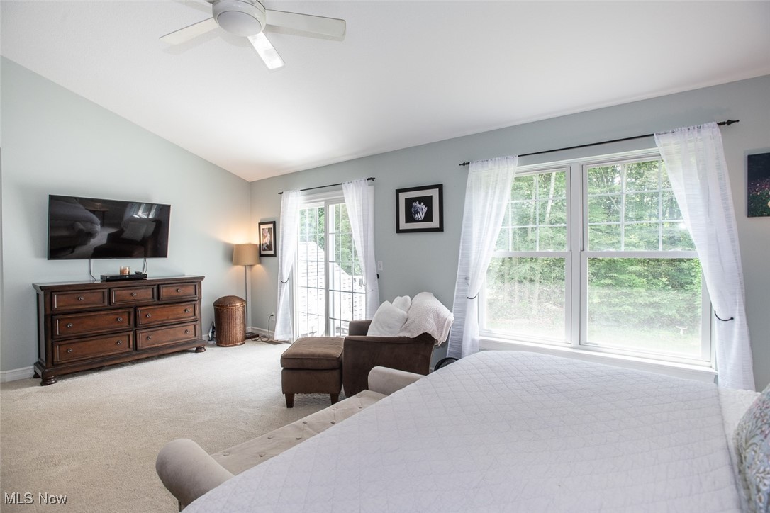 5226 Maplewood Farm Drive Medina OH 44256