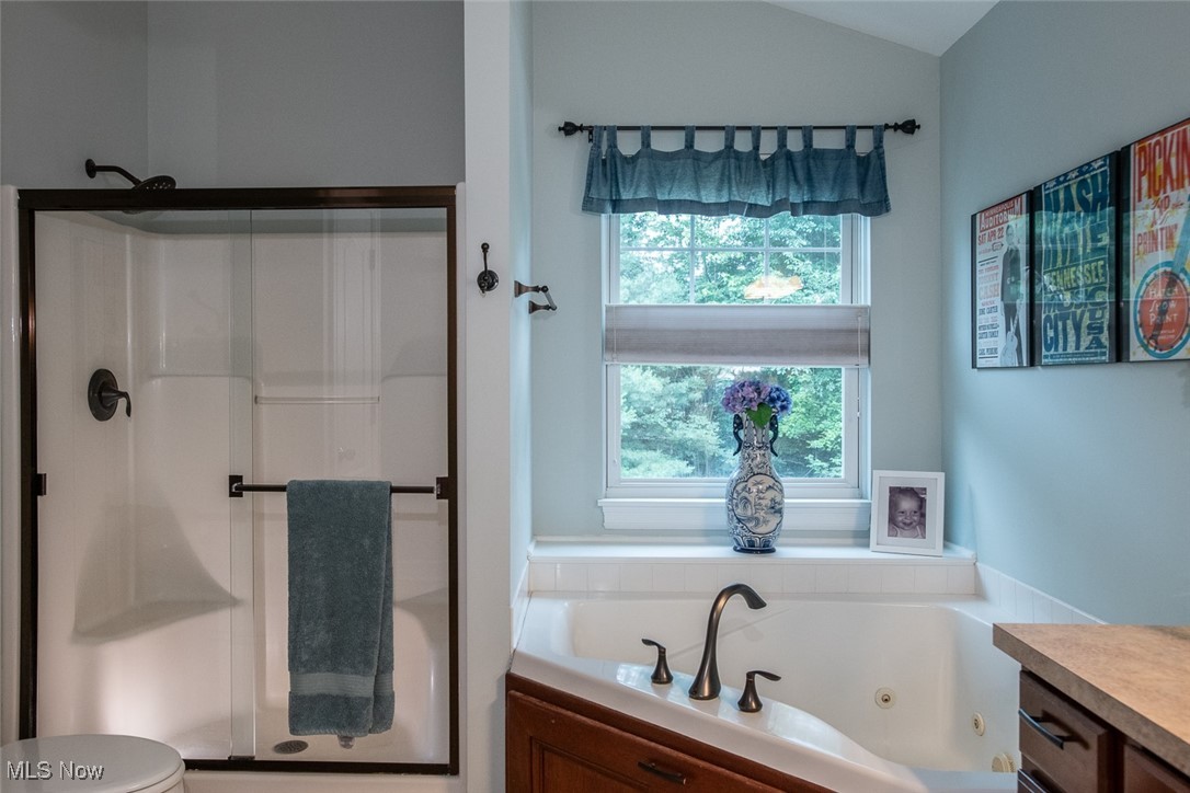 5226 Maplewood Farm Drive Medina OH 44256