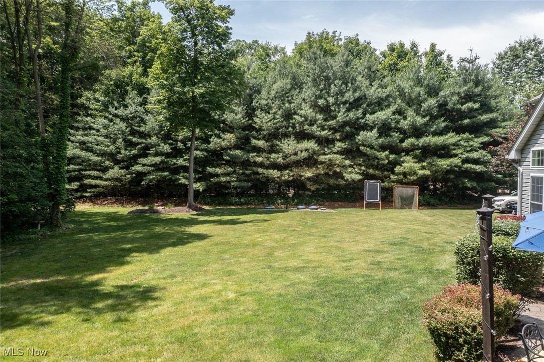 5226 Maplewood Farm Drive Medina OH 44256