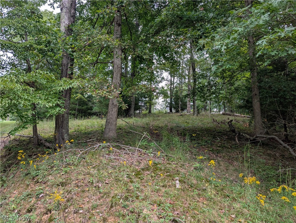13683 E Pike Road Cambridge OH 43725