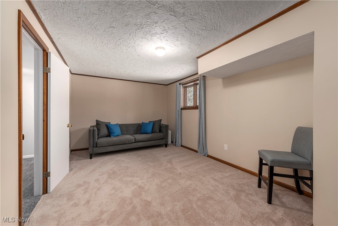 4505 Bramley Drive Mantua OH 44255