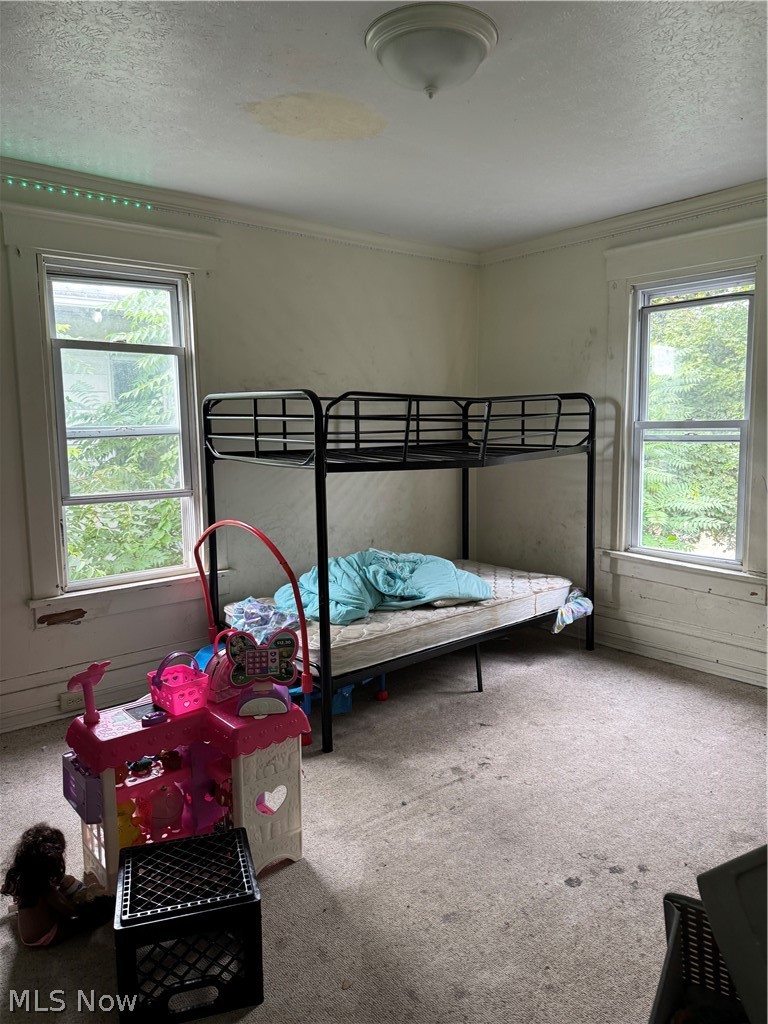 411 Kirn Avenue Akron OH 44304