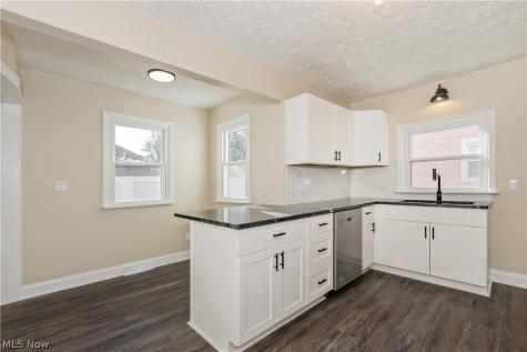 874 Hine Avenue Painesville OH 44077