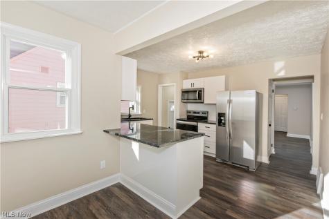 874 Hine Avenue Painesville OH 44077
