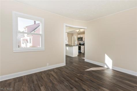 874 Hine Avenue Painesville OH 44077