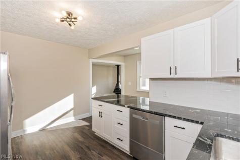 874 Hine Avenue Painesville OH 44077