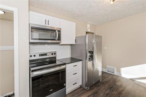 874 Hine Avenue Painesville OH 44077