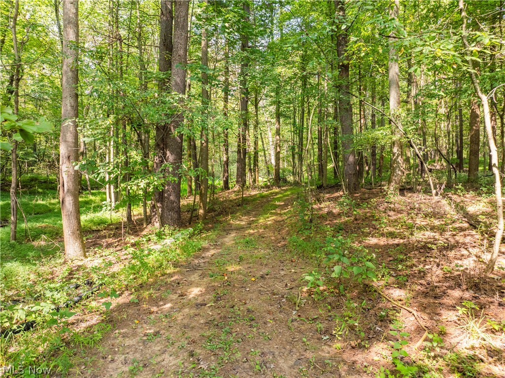 5556 Blacksnake Hill Road NE Dover OH 44622