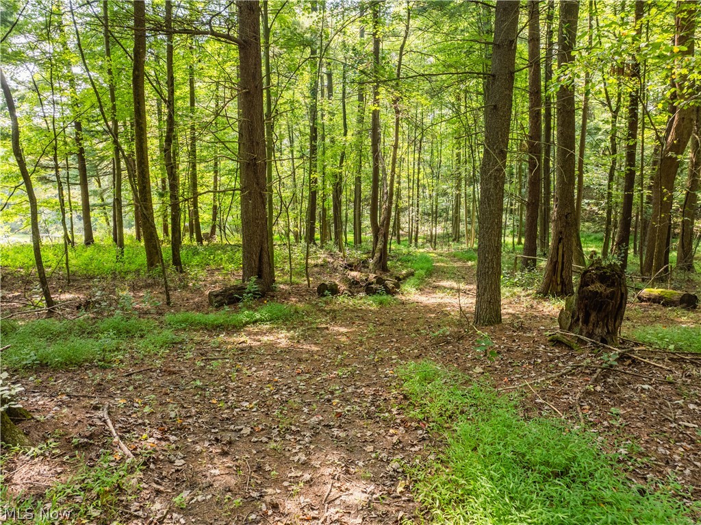 5556 Blacksnake Hill Road NE Dover OH 44622