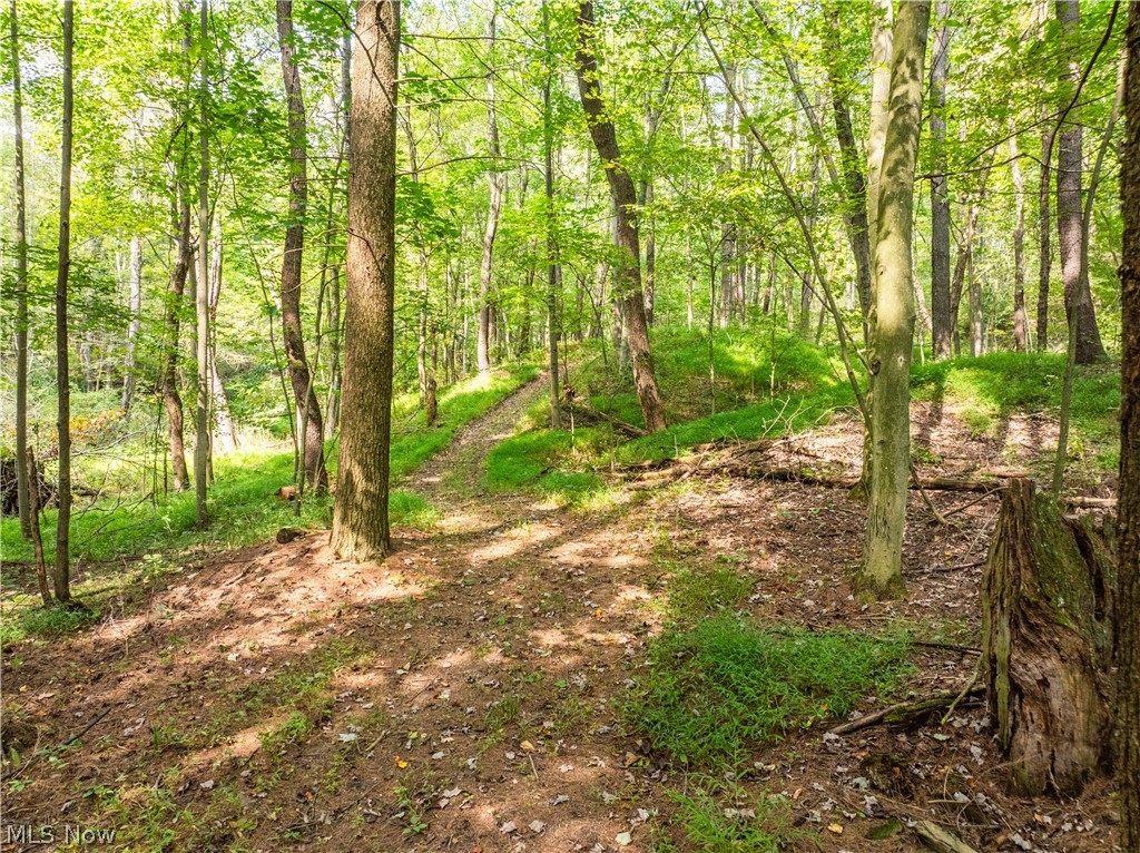 5556 Blacksnake Hill Road NE Dover OH 44622