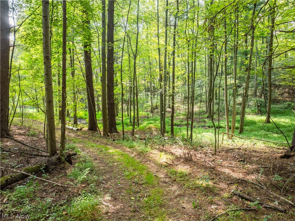5556 Blacksnake Hill Road NE Dover OH 44622