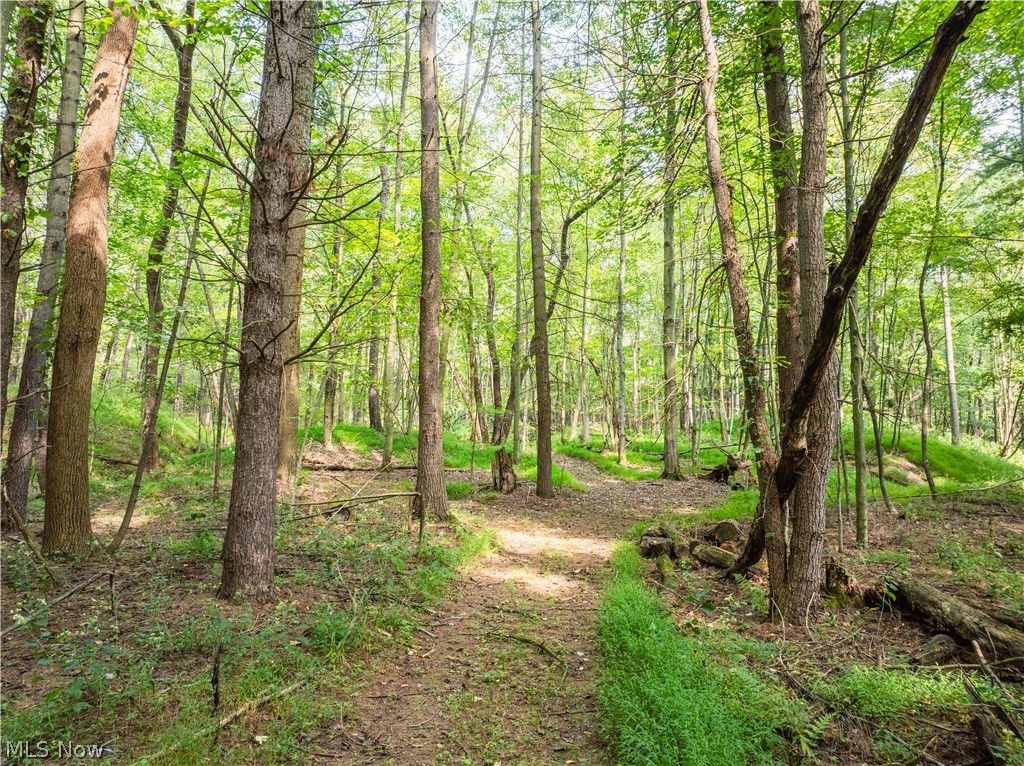 5556 Blacksnake Hill Road NE Dover OH 44622