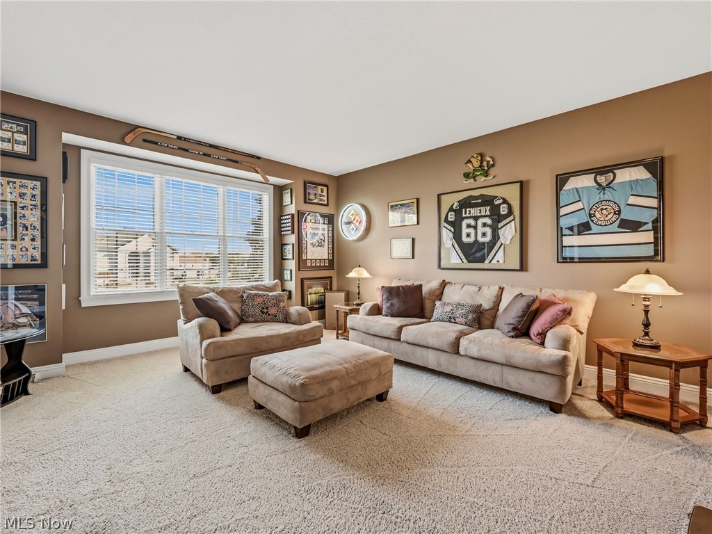 1055 Fox Den Trail Canfield OH 44406